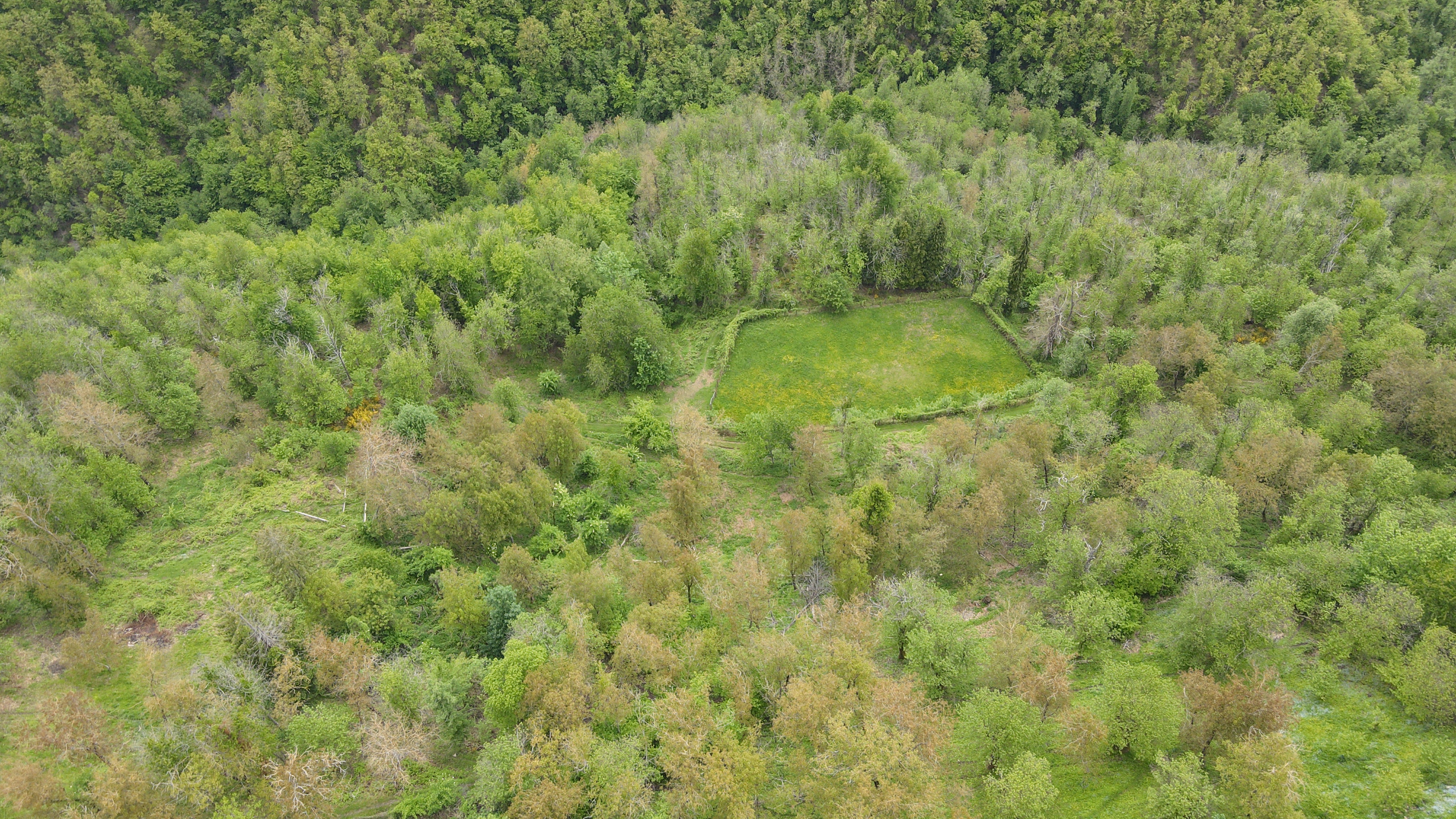 DJI 0155